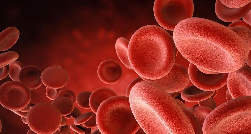 Everything You Need to Know About EPO: A Simple Guide for Everyone